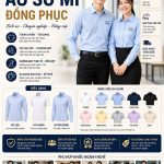 so mi dong phuc infographic bang mau kieu dang nganh